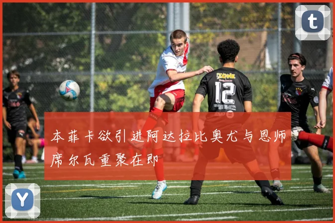 本菲卡欲引进阿达拉比奥尤与恩师席尔瓦重聚在即